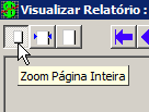 A Todos Clientes A partir da versão de Todos os Sistemas da PROFORM datado de 07/03/2011, implementamos nova ferramenta de Impressão Profissional onde permite em todos os Relatórios gravação em PDF.