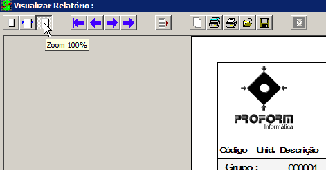 Zoom Tamanho da Página, apresenta conforme configuração da Impressora dando uma melhor visualização dos dados Zoom 100% apresenta o