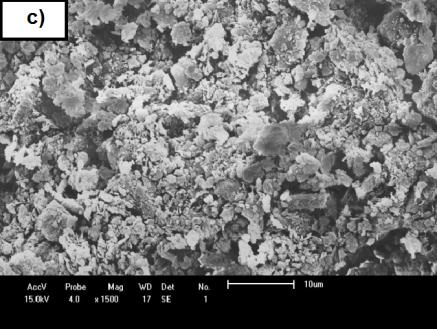 Microscopia Eletrônica de Varredura (MEV) A Figura 1 