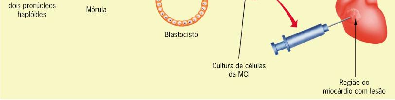 } Terapia genética A terapia genética tem revelado sérios riscos