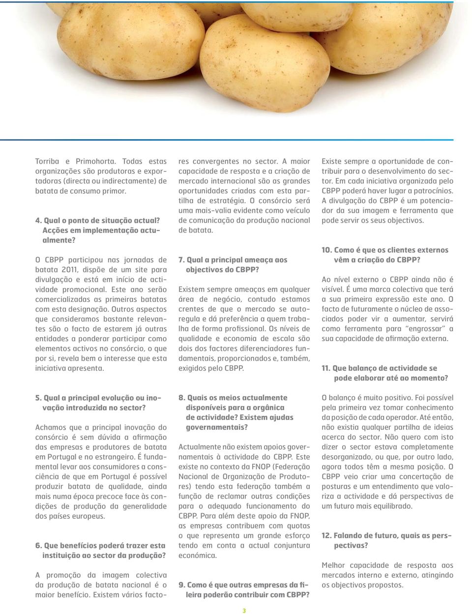 Este ano serão comercializadas as primeiras batatas com esta designação.