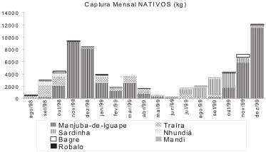 Ocorrência de espécies exóticas na comunidade do Jairé no Rio Ribeira de Iguape 273 Em 1999, os períodos em que ocorreram maiores desembarques foram entre janeiro e março, em julho e em dezembro