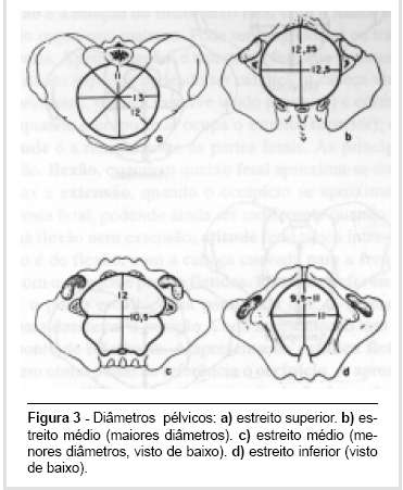 Estreito médio: Limites: 1/3 inferior do osso púbico,espinhas ciáticas (plano 0 de DeLee), ponta do sacro, ligamento sacrociático Formato: circular Diâmetro ântero-posterior: em nível das espinas