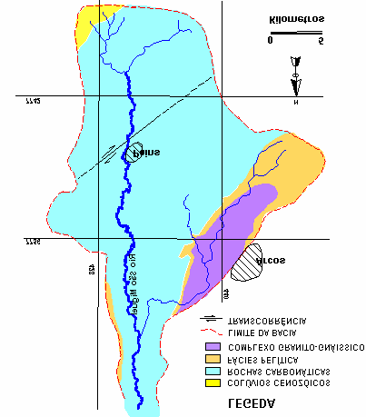 A vegetação nativa predominante da região é o cerrado (savana), com gradações que vão das gramíneas do campo limpo à vegetação densa e de maior porte do cerradão.