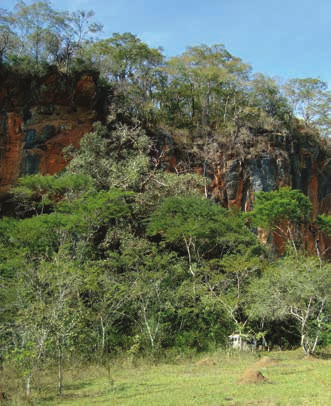 Vista aérea de maciço calcário, onde há um abrigo sobre rocha, em Matozinhos (MG): presença desse tipo de mineral ajudou na preservação de esqueletos na região de Lagoa Santa MEGAFAUNA E GRAVURAS As