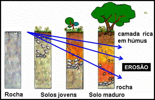 AGRICULTURA / PECUÁRIA QUANDO