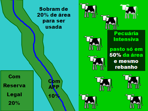 Pecuária Intensiva 1 2 MESMA