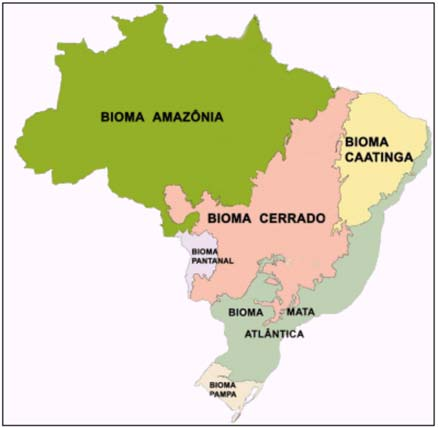 Reserva Legal no Bioma Cerrado: uso e preservação Fabiana de Gois Aquino Maria Cristina de Oliveira No Brasil existem seis grandes biomas naturais: a Amazônia, o Cerrado, a Caatinga, o Pantanal, a