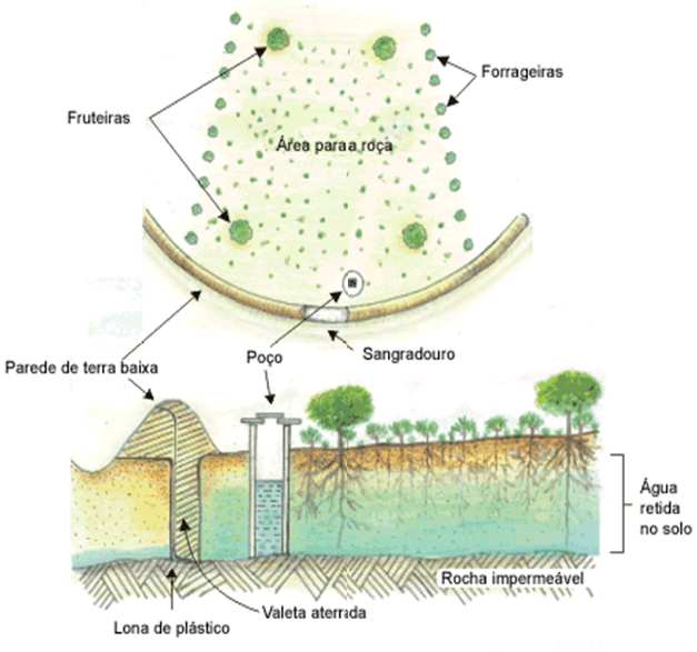 Captação e aproveitamento de água de chuva Captação in situ Barragem subterrânea Cisterna Barreiro Produzir mais alimentos com