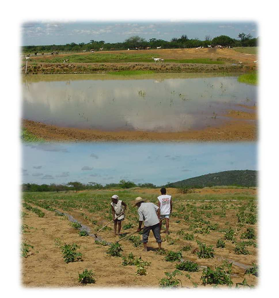 Irrigação salvação: produção de alimentos Parede divisória; Manejo da água de irrigação; Barreiro construído em 1982, Comunidade: Alto do