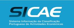 Definição do setor Segmentos de atividade económica Setor agrícola Segmentos de atividade económica com base na CAE Rev.