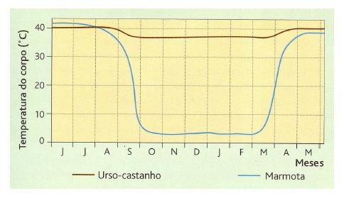 5. Observe atentamente o gráfico seguinte, que representa a variação corporal do urso-castanho e da marmota, ao longo do ano.