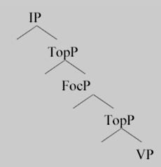 com o foco da periferia esquerda da sentença. Vejamos abaixo a estrutura do IP, tal como proposta em Belletti (1999): (6) Figura 2.