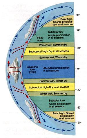 C. Polar C.