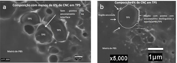 Figura 2 Micrografias obtidas em MEV-FEG para as diferentes concentrações: (a) PBS/TPS 0%, (b) PBS/TPS 2%, (c) PBS/TPS 4%, (d) PBS/TPS 6%.