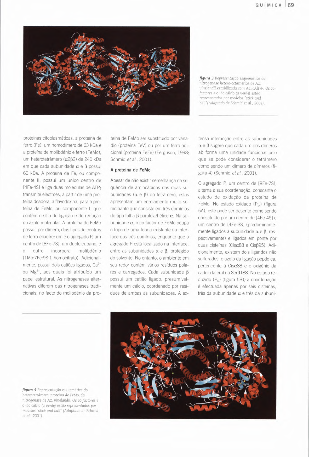 QUÍMICA I 69 figura 3 Representação esquemática da nitrogenase hetero-octamérica de Az. uinelandii estabilizada com ADP.AIF4-.