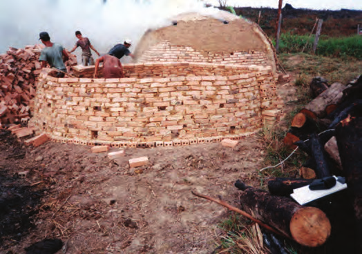 408 Extrativismo Vegetal na Amazônia: história, ecologia, economia e domesticação que a exportação acumulada de ferro-gusa até 2005 tenha provocado um desmatamento ilegal superior a 800 mil hectares