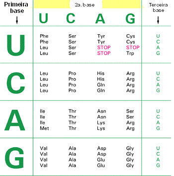 O Código C Genético Proteína: