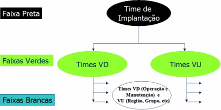 9 Figura 5 Times de Implantação do MASPP RESULTADOS ALCANÇADOS Nas diversas empresas onde o MASPP tem sido aplicado (COMUSA, SABESP, etc.