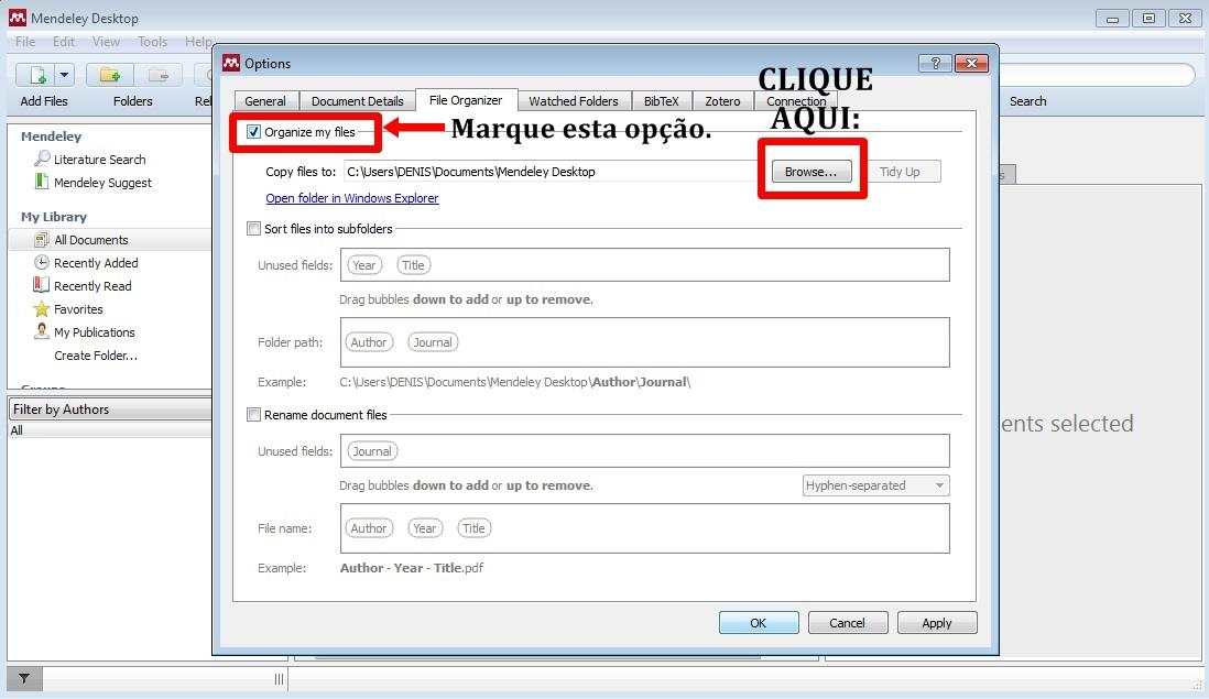 4. Habilite a opção Organize my files e, em