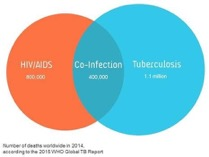 Co-Infecção HIV-TB Perfil Homem negro de idade entre 20 e 49 anos com baixa