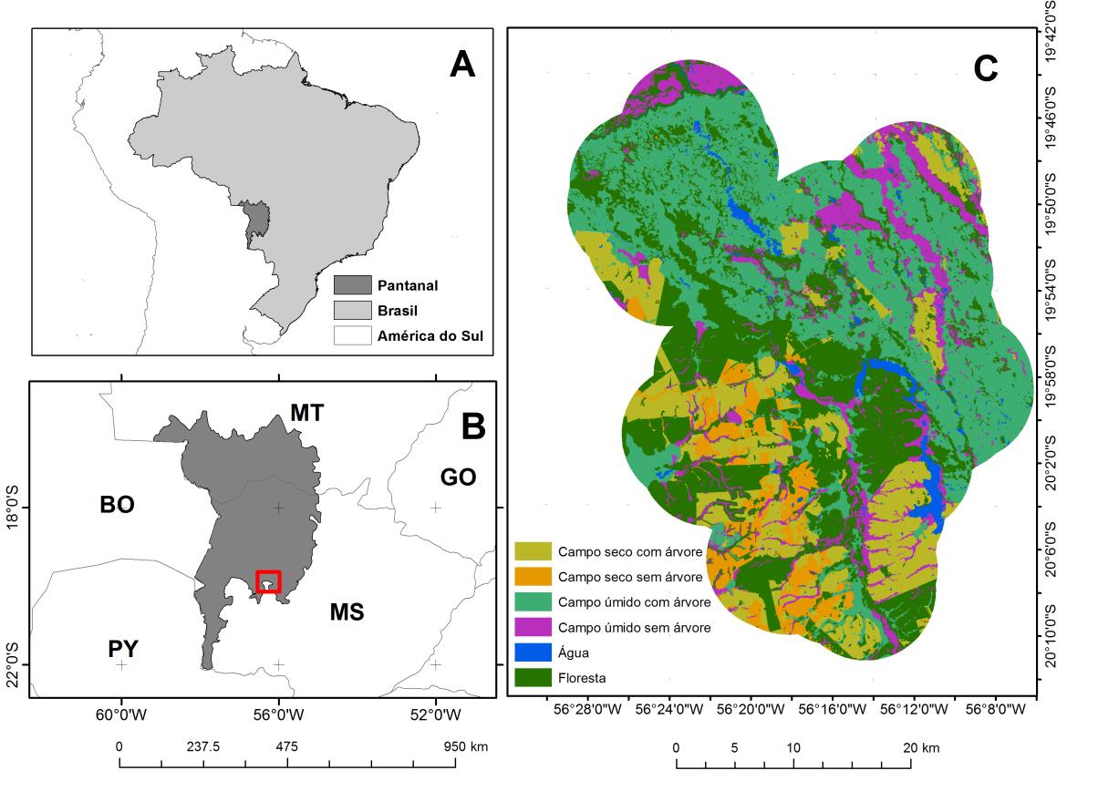 SANDERSON, E. W. et al. Planning to save a species: the jaguar as a model.conservation Biology, 16(1):58-72, 2002. SILVEIRA, L. et al. The potential for large-scale wildlife corridors between protected areas in Brazil using the jaguar as a model species.