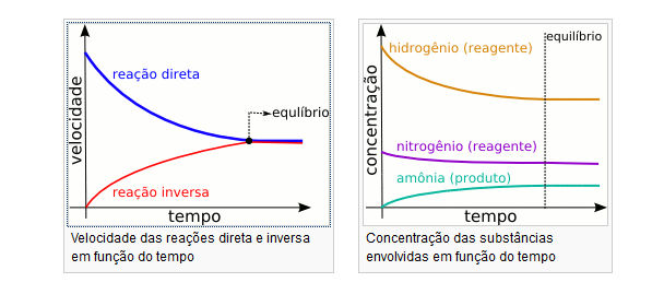 Um exemplo de reação reversível é a da produção da amônia (NH 3 ), a partir do gás hidrogênio (H 2 ) e do gás nitrogênio (N 2 ) que faz parte do Processo de Haber: N 2(g) + 3H 2(g) 2NH 3(g) O