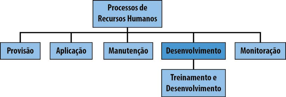 1. Treinamento e Desenvolvimento - T&D Na unidade II, apresentamos os processos de Recursos Humanos.