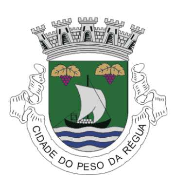 CÂMARA MUNICIPAL DE PESO DA RÉGUA REGULAMENTO DE ABERTURA E