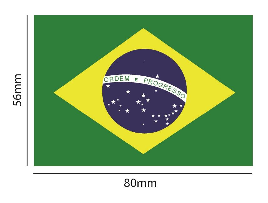 c. Bandeira do Brasil (Manga da Camiseta e Perna Direita
