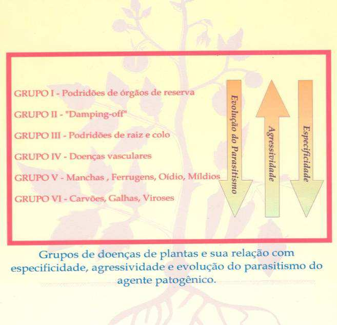 Grupos de doenças, definidos de acordo com o processo fisiológico da planta interferido pelo patógeno (Bedendo, 2011) SINTOMATOLOGIA Processo interferido pelo patógeno: ARMAZENAMENTO DE SUBSTÂNCIAS