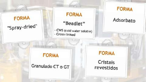 Síntese de Vitaminas em laboratório Desenvolvimento de tecnologias