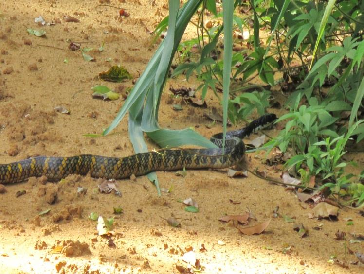 Figura 21 Ponto da Fazenda Pindorama.