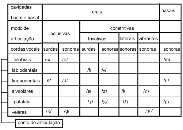 O sistema fonológico do português: as consoantes Aula 6 d) quanto ao papel das cavidades bucal e nasal: orais ( / p, b, t, d, k, g, f, v, s, z,,, l,,, / ) quando a corrente de ar sai apenas pela