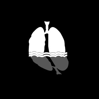 13 as JORNADAS de PNEUMOLOGIA EM MEDICINA FAMILIAR DOS AÇORES E CONTINENTE Açores, Hotel Marina Atlântico 8 e 9 de Julho de 2016