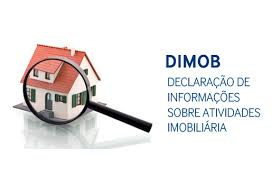 IN RFB 1.115, de 28/12/2010. Dispõe sobre a Declaração de Informações sobre Atividades Imobiliárias (Dimob).