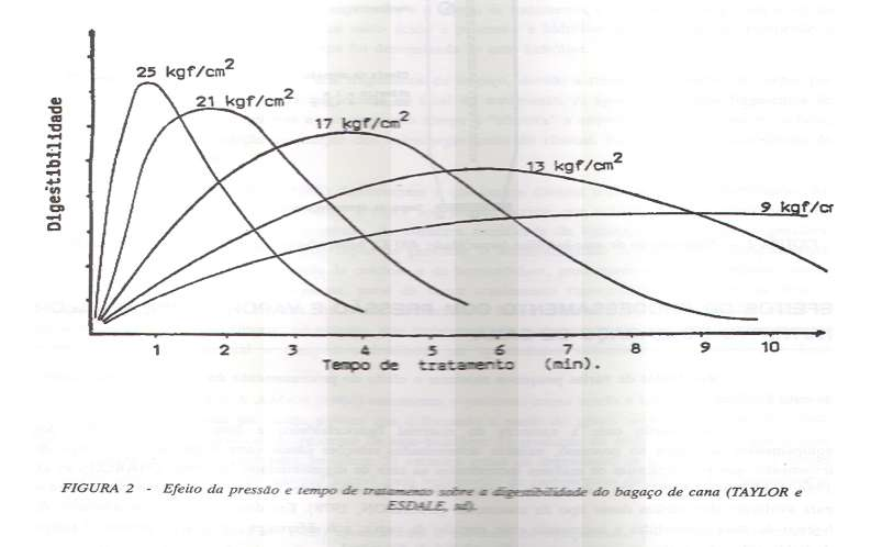 Tratamento do bagaço de