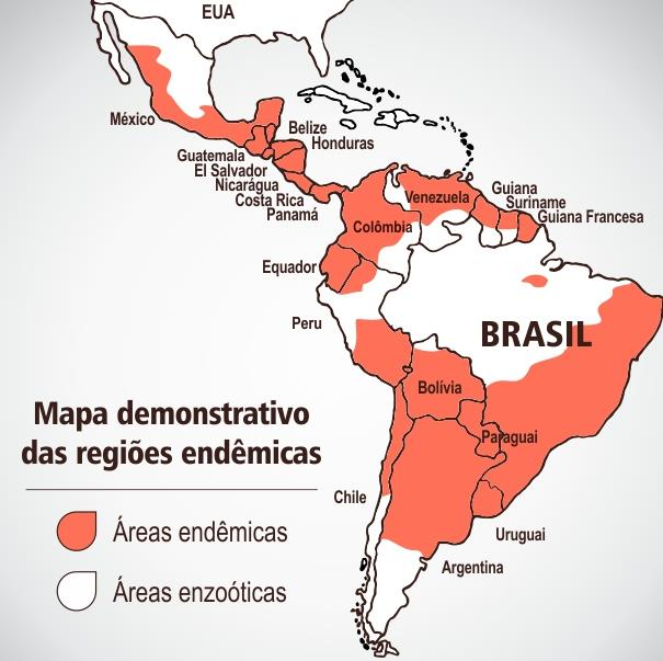 2.7 Epidemiologia 2.7.1 Epidemiologia Mundial de Chagas A Doença de Chagas é uma infecção tropical de grande importância no mundo, com alto impacto social e econômico, principalmente nas áreas endêmicas (Figura 9).