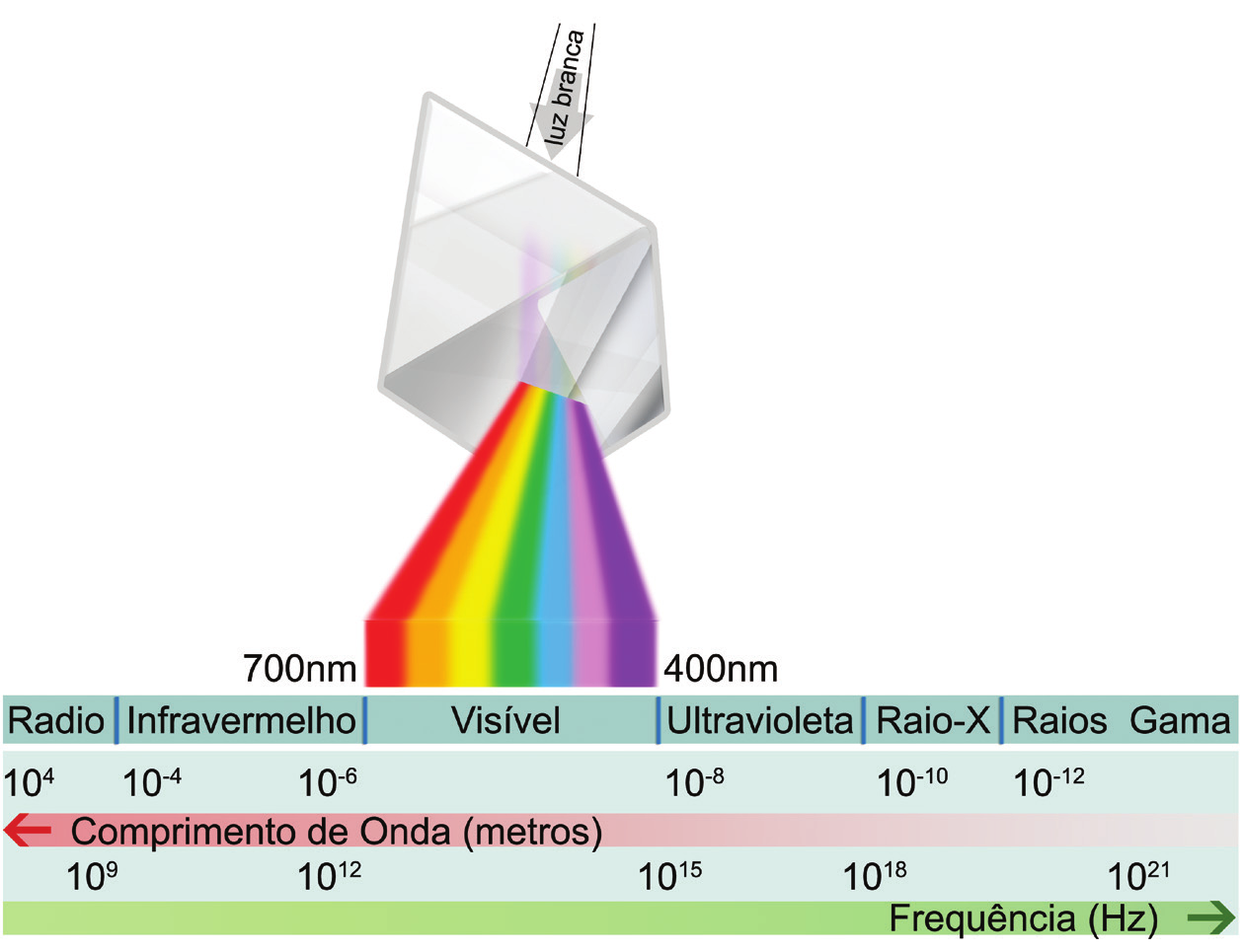 26 Licenciatura em Ciências USP/Univesp Módulo 1 Figura 2.2 Quando atravessa um prisma, a luz branca é decomposta em diferentes cores na faixa visível (do vermelho ao violeta).