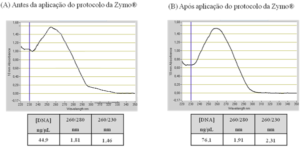 Figura 14- Gráficos de absorvância e respetivos valores de concentração e pureza de DNA por NanoDrop da amostra LA530/13 (A) antes e (B) após aplicação do Protocolo da Zymo.