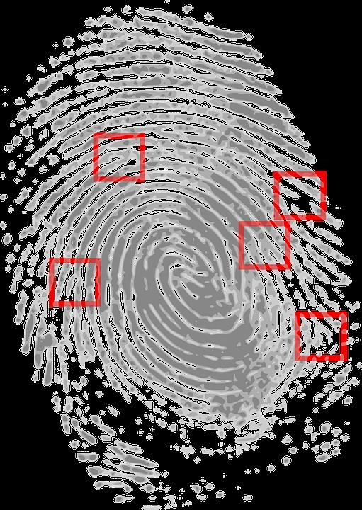 O que é fingerprint? É uma das principais técnicas de levantamento de informação antes de efetivamente iniciar o ataque. No fingerprint verdadeiramente usamos ferramentas e técnicas que tocamos.