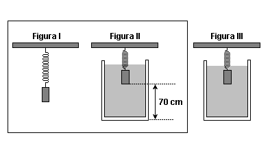 11) Um cilindro metálico com 4,0 kg de massa é suspenso por uma mola, ocorrendo o equilíbrio quando esta se alonga 8,0 cm, como ilustra a figura I.