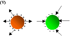 O esquema que melhor representa a configuração do campo elétrico