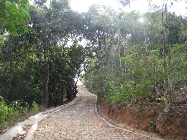 Desmatamento para a implantação de via de acesso interna à residência unifamiliar na APA da Serra