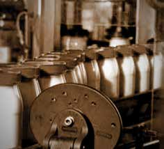 1990 Pioneira no lançamento do iogurte natural com cereais, o Mix Vigor. 1995 Lançamento da mistura inovadora no mercado de Spreads, o primeiro Blend de Manteiga com Margarina: Vigor Cremosa.