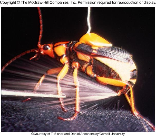 Método 2 Chemistry in Action: Bombardier Beetle Defense C 6 H 4 (OH) 2 (aq) + H 2 O 2 (aq) C 6 H 4 O 2 (aq) + 2H 2 O (l) H 0 =?