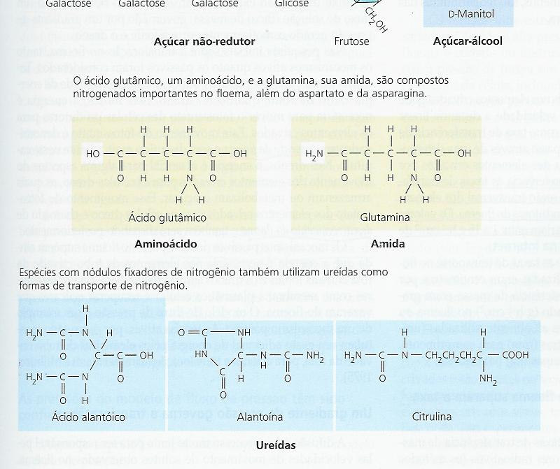 Carbono e Nitrogênio são os macronutrientes mais