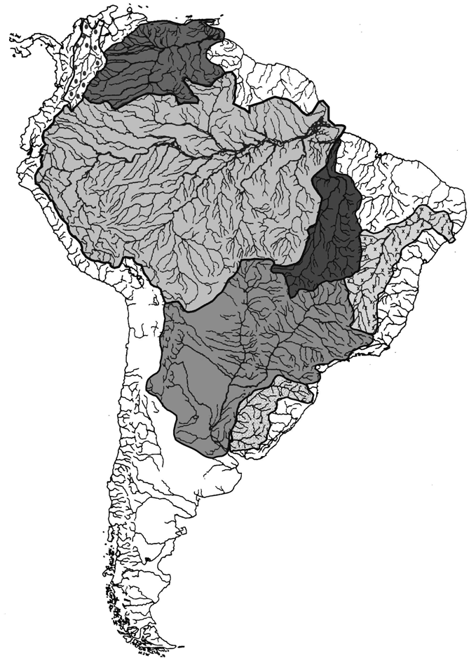 As grandes bacias da América do Sul A bacia amazônica é de longe a maior do mundo com 6.
