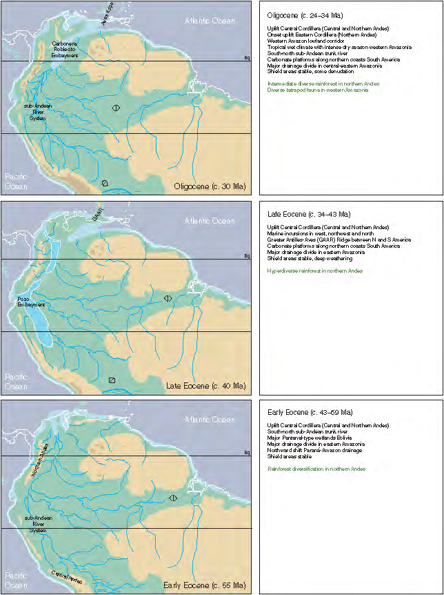 A origem da bacia Amazônica e