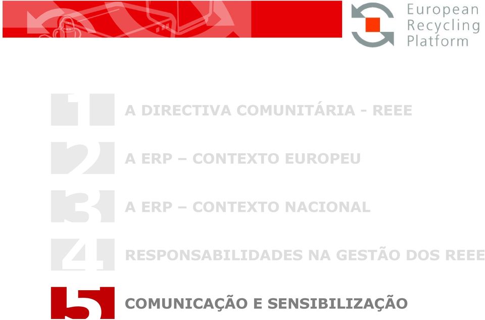 REEE ERP CONTEXTO EUROPEU ERP CONTEXTO